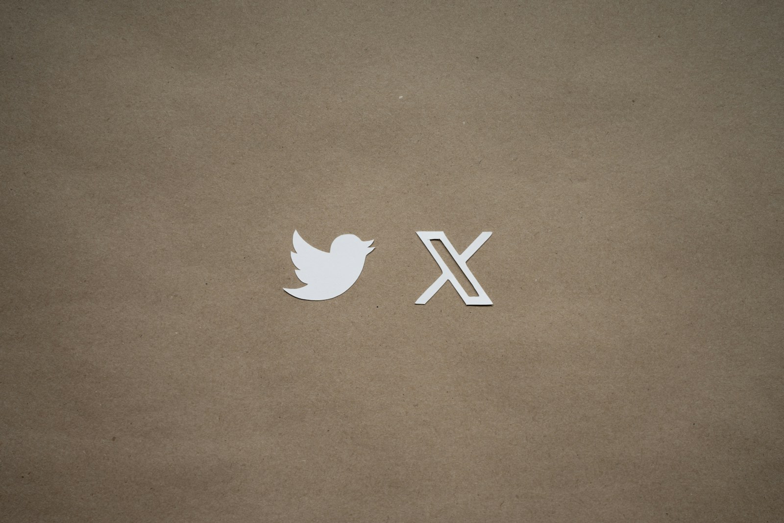Monetização no X (Twitter): Quantos Seguidores Você Precisa em 2026? Perguntas e Respostas